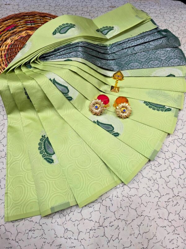 Borderless Kubera Silk Saree - light green
